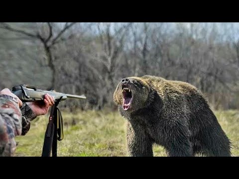 Видео: 💥/Шутка ли! С простой мелкашки матерого медведя завалить!