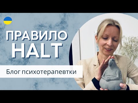 Видео: Яка основна причина 80% наших конфліктів та правило HALT. Як це працює? Психологія. Випуск 156.