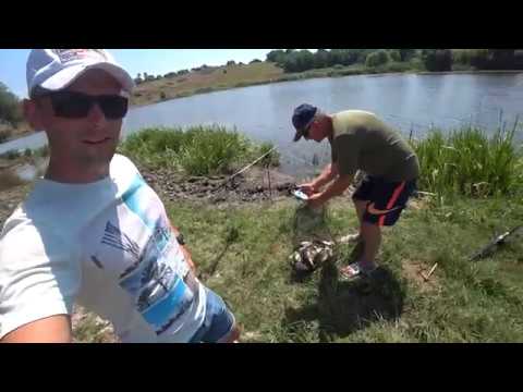 Видео: Как ловить карася на макушатник