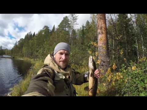 Видео: Рыбалка в Северной Карелии Последние моменты, крупная щука, тайга ,хозяин тайги.
