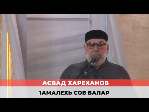 Видео: Асвад - 1амалехь сов валар