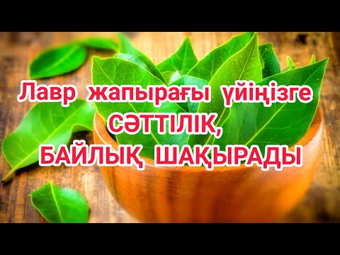 Видео: Лавр жапырағы үйіңізге СӘТТІЛІК, БАЙЛЫҚ ШАҚЫРАДЫ