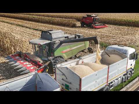 Видео: УБОРКА КУКУРУЗЫ 2025 ГОДА КОМБАЙН FENDT 6335 И CASE IH AXIAL FLOW 7088