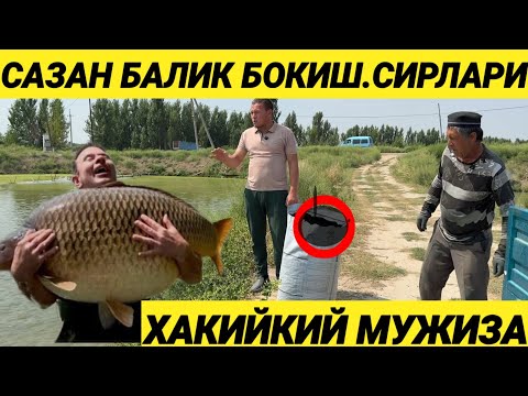 Видео: МИЛЛАРДЛИК БИЗНЕС ХОВУЗДАН БОШЛАНДИ