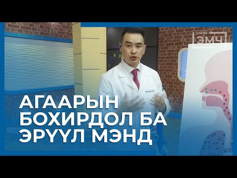 Видео: 101 - Агаарын бохирдол ба Эрүүл мэнд / "Цахим Эмч" шоу