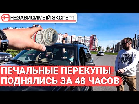 Видео: Как печальные перекупы поднялись за 48 часов