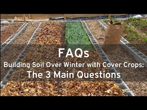 Видео: Часто задаваемые вопросы о покровных культурах (подготовка почвы за зиму)