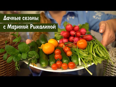 Видео: Дачные сезоны с Мариной Рыкалиной от 24 ноября 2022 года