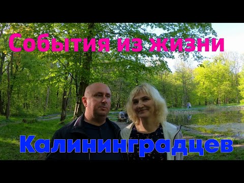 Видео: Реальные истории из жизни калининградцев