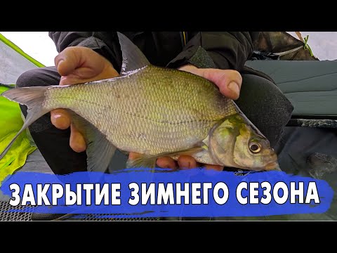 Видео: Закрытие сезона на реке Волга. Быт и оборудование для комфортной ловли ночного леща.