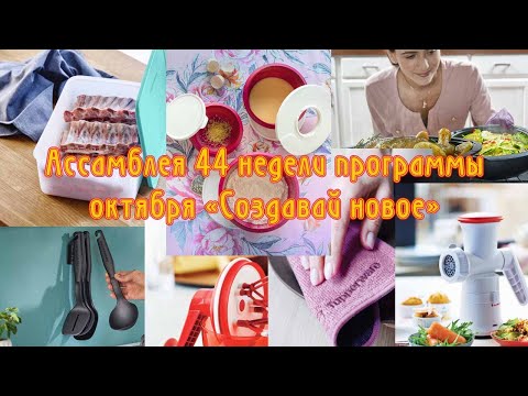 Видео: Ассамблея 44 недели программы
октября «Создавай новое»