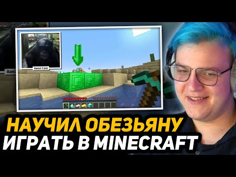 Видео: ПЯТЁРКА СМОТРИТ - Я Научил Обезьяну Играть в Minecraft | ChrisDaCow на русском