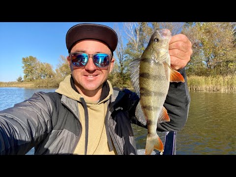 Видео: Ловля ОКУНЯ на затоках річки Дніпро!!!