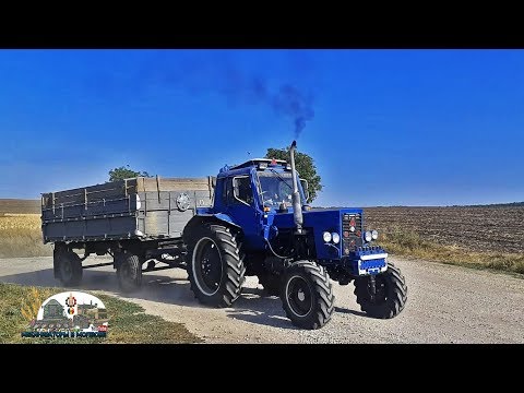 Видео: Мтз 82 Д-240/2