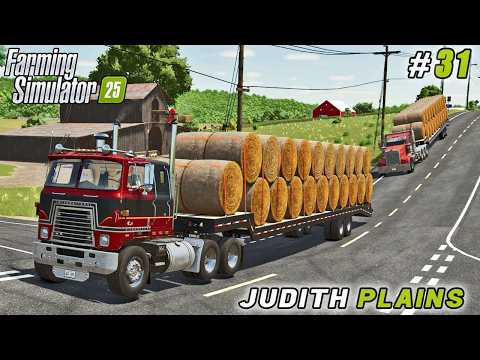 Видео: Сбор 200 тюков соломы, уборка сорго | Farming simulator 25 | Джудит Плейнс | Таймлапс №31