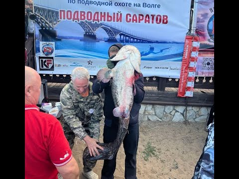 Видео: Самая большая рыба на фестивале Подводный Саратов 2025