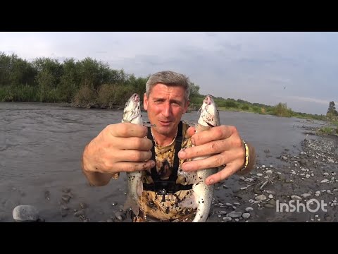 Видео: Закидушки.Как ловили наши деды? Рыбалка на свинарнике. #усач #ловляусача