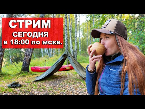 Видео: СТРИМ С БРОДЯГОЙ :))