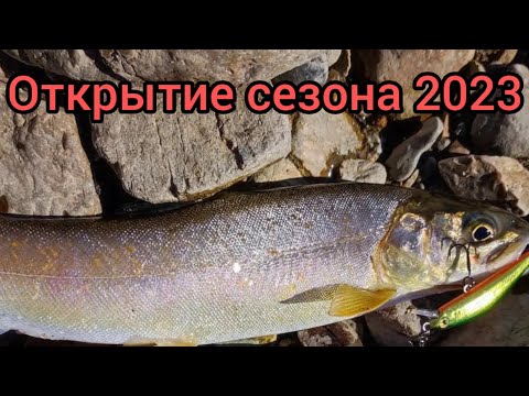 Видео: Рыбалка. Ленок. Открытие сезона горной рыбалки 2023.