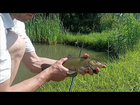 Видео: 💪💪💪Тягаю Лина на день рибака🔥🔥🔥