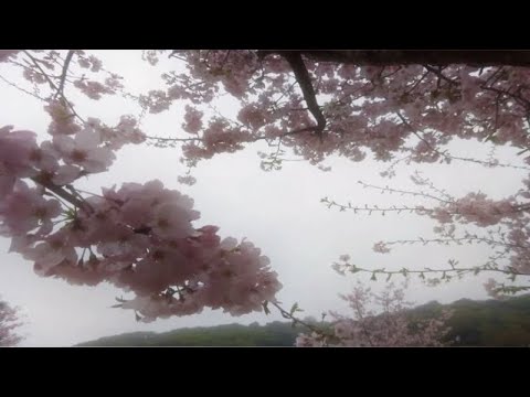 Видео: рисую будущее видео♥️ часть 2