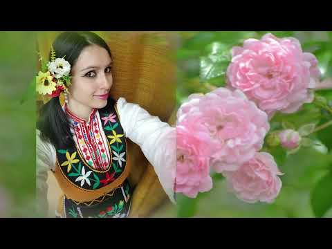 Видео: Българските гласове