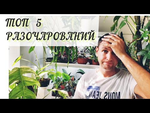 Видео: ТОП 5 РАЗОЧАРОВАНИЙ 2022 года/САМЫЕ КАПРИЗНЫЕ РАСТЕНИЯ/ ЭТИ ВАРИЕГАТНЫЕ ЦВЕТЫ Я НЕ ПОСОВЕТУЮ НИКОМУ