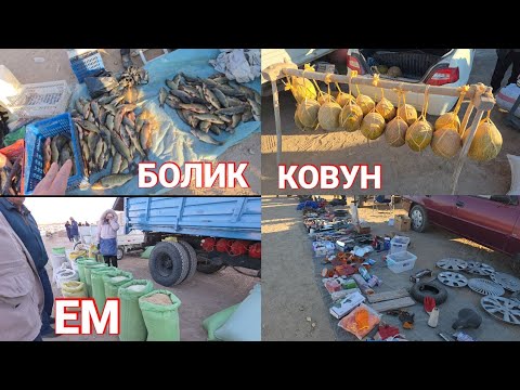 Видео: БАЛИК КОВУН ВА ЕМ ХАШАК НАРХЛАР ЭЛЛИККАЛА БУСТОН