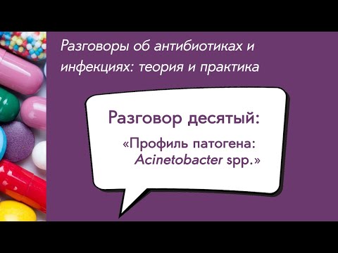 Видео: Вебинар «Профиль патогена: Acinetobacter spp.»