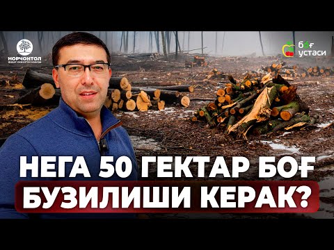 Видео: 8 ЙИЛЛИК БОҒНИ "НОЛДАН" ЯНГИЛАШ! |ШУҲРАТ АБРОРОВ #shuhratabrorov #bog #olma #meva #hosil #uzb