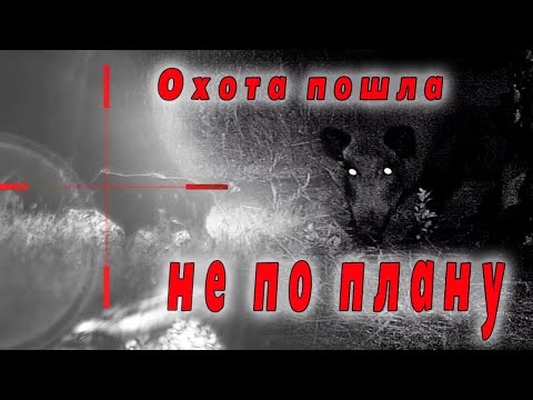 Видео: Охота на кабана, фатальная ошибка. Проект Привада на кабана. Серия №6