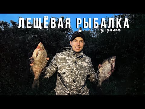 Видео: Крупный ЛЕЩ гнет фидер. Спонтанная рыбалка у дома. Река Сухона.