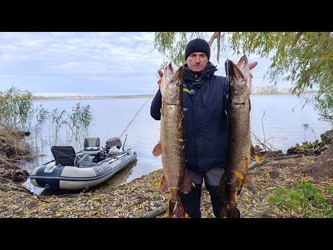 Видео: Поради початківцям для тролінгу! Це рибалка чи ні?  Крупна риба гне спінінг в дугу!