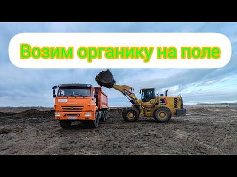 Видео: КАМАЗЫ возят органику