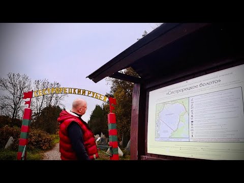 Видео: Сестрорецкий рубеж. Экологическая тропа "Сестрорецкое болото".