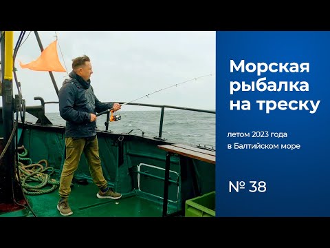 Видео: № 38 / Рыбалка в Балтийском море / Треска / Калининградская область / Лето