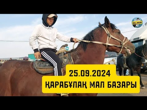 Видео: Жылқы бағасы💯 25.09.2024 ҚАРАБҰЛАҚ МАЛ БАЗАРЫ / MAL BAZAR