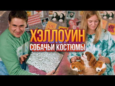 Видео: DIY: костюмы для собак на Хэллоуин