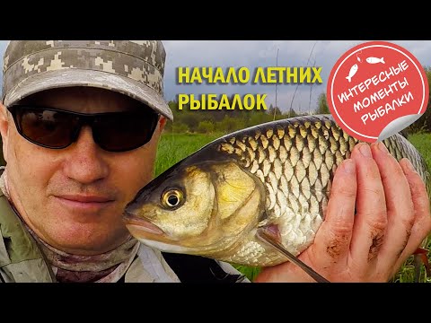 Видео: Начало летних рыбалок. Трофейный голавль на мокрую мушку.