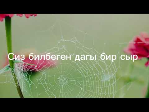 Видео: Сиз билбеген маани бербеген сыр @JAN_DYINO_AZYCY