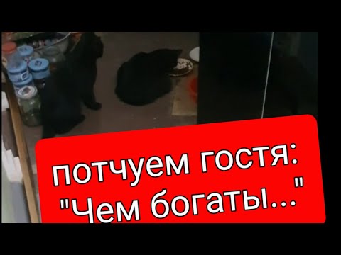 Видео: Гостеприимный ты наш... папульчик!... 🤣🤣🤣
