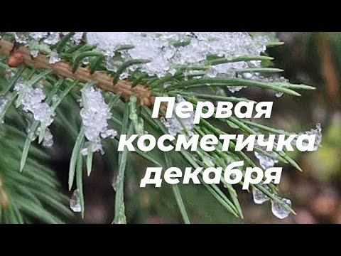 Видео: Первая косметичка декабря 2024 ❄️