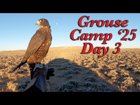 Видео: Лагерь «Граус» 2025, день 3 (8 октября 2025 г.)