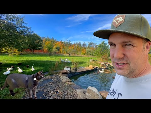 Видео: Осеннее специальное предложение на ферме Hidden Spring