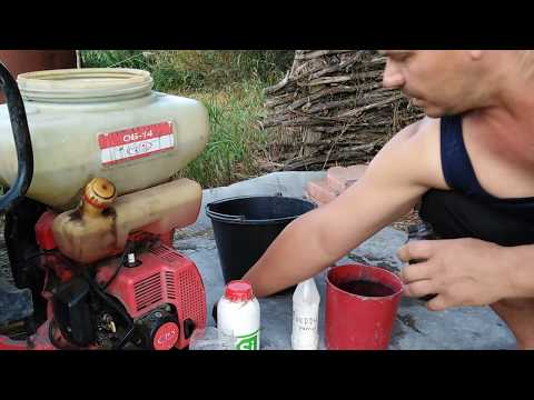 Видео: Силиплант для роз. Один из лучших препаратов для листовой подкормки.