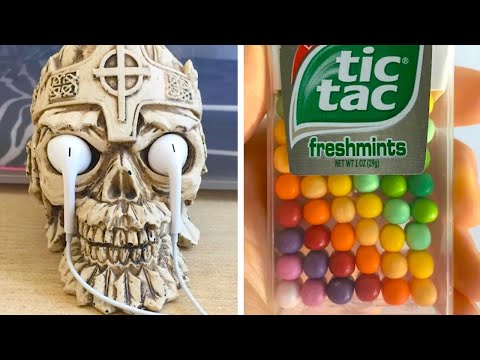 Видео: Чуточку прекрасного — и день удался!