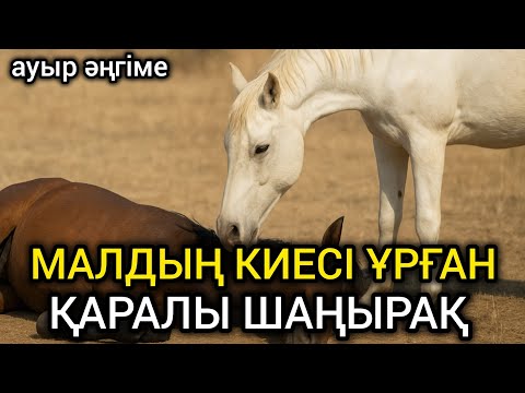 Видео: 😱 МАЛДЫҢ БАСЫНАН ТЕБУГЕ БОЛМАЙДЫ. КИЕ, ҚАРҒЫСТЫҢ ҚАЙТЫМЫ ТУРАЛЫ ӘҢГІМЕ #болғаноқиға #әсерліәңгіме