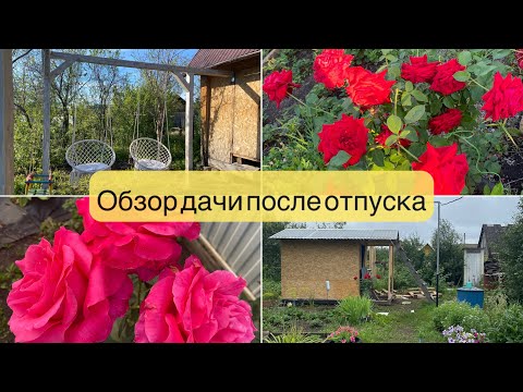 Видео: Обзор дачи | Не были на даче три недели | Наша дача | Мои розы | Уборка на даче | Работы на даче