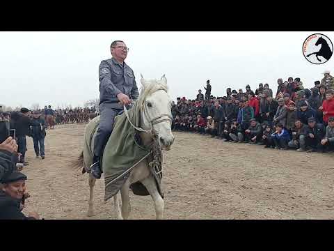 Видео: 19-03-2024ж ХАЛҚАБАТ НАУРЫЗ БАЙРАМ ТАМАШАЛАРЫ