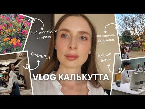 Видео: VLOG Калькутта на закате: парк с летучими мышами и ливанская кухня